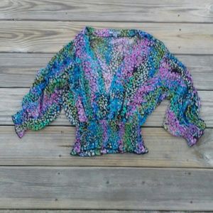 Poetry Clothing Colorful Sheer  Blouse